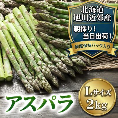 ふるさと納税 旭川市 アスパラ2kg500g×4 Lサイズ 旭川近郊産_01591