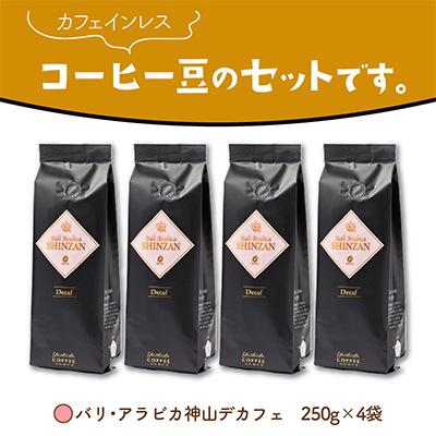 ふるさと納税 泉南市 □【吉田珈琲本舗謹製】バリ・アラビカ神山