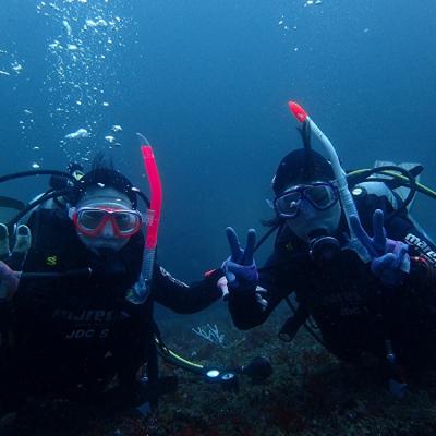 ふるさと納税 三浦市 三浦半島城ヶ島でPADIオープンダイバーライセンス取得