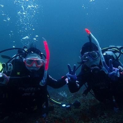 ふるさと納税 三浦市 三浦半島城ヶ島の海で体験ダイビング