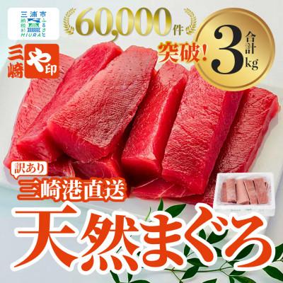 ふるさと納税 三浦市 [訳あり]これを選べば間違いなし!とにかくたくさん食べたい人に!三崎の天然鮪3kg
