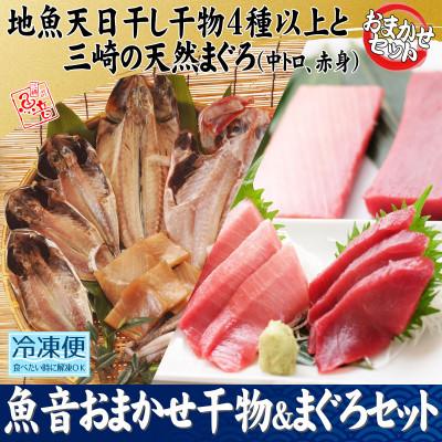 ふるさと納税 三浦市 魚音おまかせ干物&amp;まぐろセット