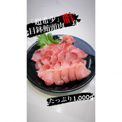 ふるさと納税 三浦市 目鉢鮪頭肉 超希少部位"脂ハチの身"