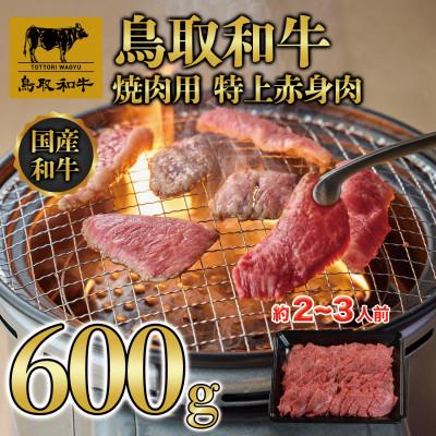 ふるさと納税 北栄町 鳥取和牛焼肉用特上赤身 600g