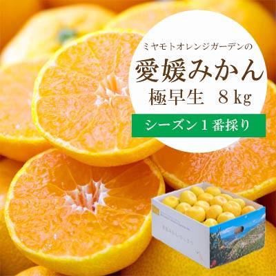 ふるさと納税 八幡浜市 シーズン一番採り!極早生みかん 8kg[訳あり][C25-131]