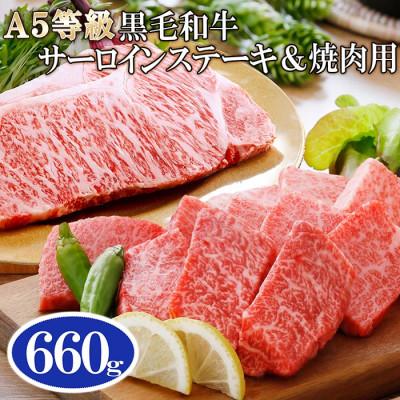 ふるさと納税 枕崎市 A5等級黒毛和牛サーロインステーキ2枚&amp;焼肉用(計660g) C0-16