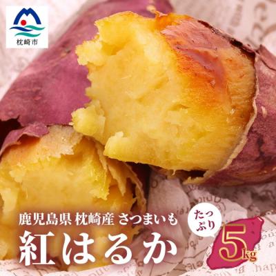 ふるさと納税 枕崎市 紅はるか [5kg] 野菜 サツマイモ さつまいも 鹿児島県 A6-16