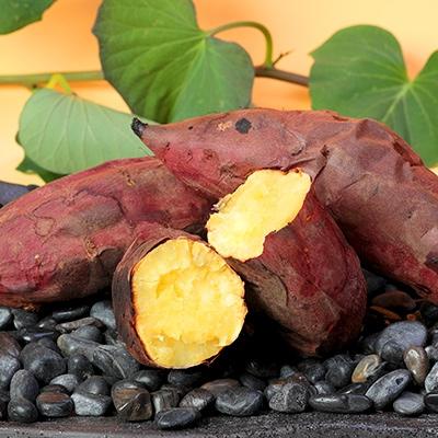 ふるさと納税 枕崎市 本場鹿児島さつまいも[マロンスイート]6kg 2026年10月中旬より発送A3-59