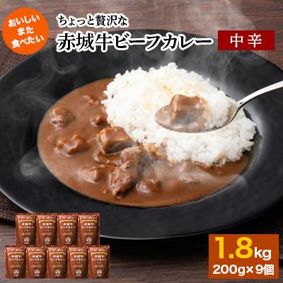 ふるさと納税 昭和村 【赤城牛ビーフカレー】ちょっと贅沢な赤城牛ビーフカレー　中辛　180g×9個 | 