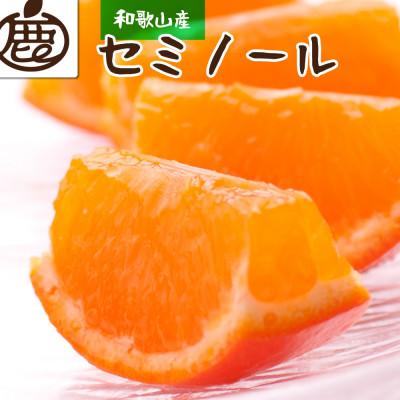 ふるさと納税 和歌山市 厳選 セミノールオレンジ2.5kg+250g(傷み補償分)[春みかん][有田産][光センサー選果]