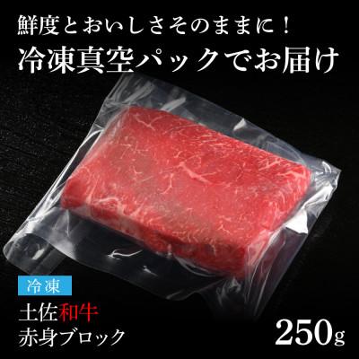 ふるさと納税 芸西村 エイジング工法 熟成肉 土佐和牛 特選赤身