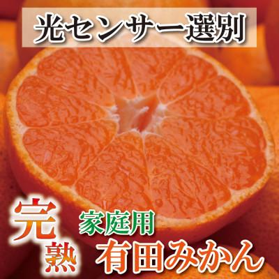 ふるさと納税 那智勝浦町 <2026年11月より発送>家庭用 完熟有田みかん2.5kg+250g(傷み補償分)[訳あり]