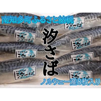 ふるさと納税 南知多町 甘汐さばフィレ真空包装 約130g×8枚入り