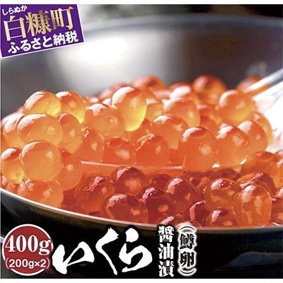ふるさと納税 白糠町 いくら醤油漬(鱒卵)【400g(200g×2)】