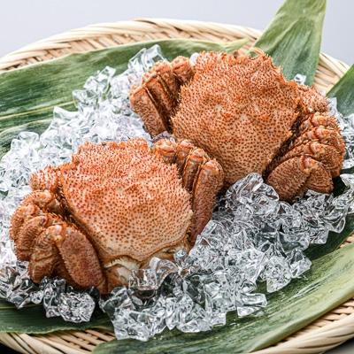 ふるさと納税 森町 [北海道産]産地直送 冷凍浜茹で毛ガニ(約330g前後〜約370g前後)×2杯