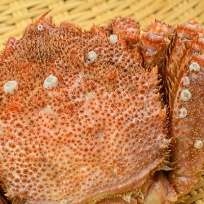 ふるさと納税 森町 【訳あり】北海道産冷凍ボイル毛ガニ2尾(300g前後〜450g前後×2尾) |  | 02