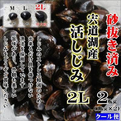ふるさと納税 松江市 宍道湖産しじみ2Lサイズ2kg(生鮮、砂抜済、活しじみ) 鮮度抜群! | 
