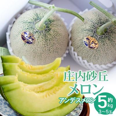 ふるさと納税 鶴岡市 庄内砂丘アンデスメロン (青肉) 秀品 約5kg (3〜5玉) [K-835]