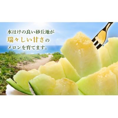 ふるさと納税 鶴岡市 【令和9年産】菅原農園の庄内砂丘アンデスメロン約5kg(3〜5玉)[K-935] |  | 03