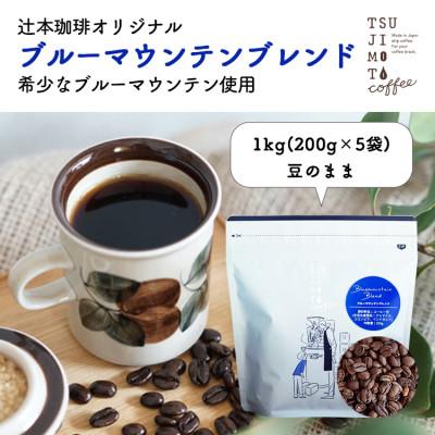 ふるさと納税 和泉市 コーヒー豆 自家焙煎 ブルーマウンテンブレンド