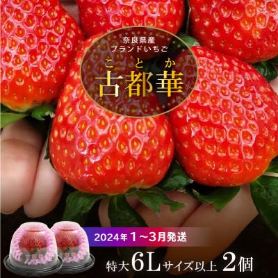 ふるさと納税 生駒市 [2027年2月〜3月順次発送]高級いちご「古都華」6Lサイズ以上2個