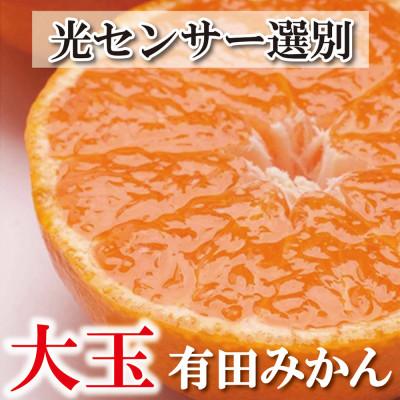 ふるさと納税 印南町 <11月より発送>家庭用 大きな有田みかん5kg+250g(傷み補償分)[訳あり][光センサー選果]