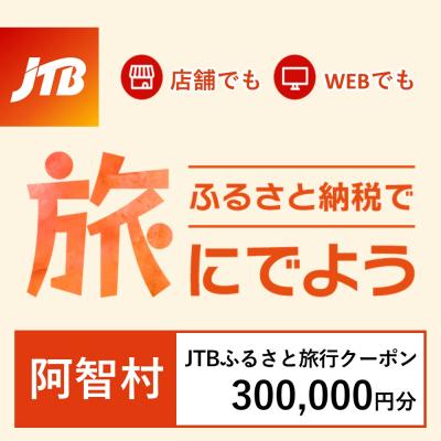 ふるさと納税 阿智村 【長野県阿智村】JTBふるさと旅行クーポン(Eメール発行)300,000円分 | 