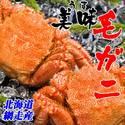 ふるさと納税 網走市 北海道 網走産 毛ガニ 400g前後