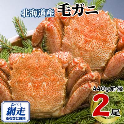 ふるさと納税 網走市 北海道網走産 冷凍 ボイル毛ガニ 440g前後×2尾