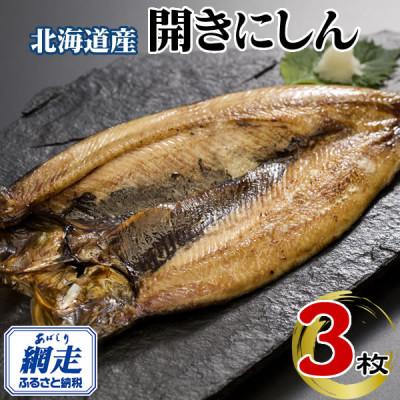 ふるさと納税 網走市 北海道産・北海道網走加工 にしん一夜干し(冷凍・1枚真空パック) 3枚セット