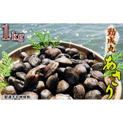 ふるさと納税 姫路市 勤成丸のあさり 1.0kg 海の幸 
