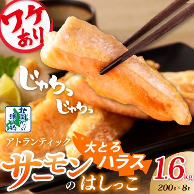 ふるさと納税 泉佐野市 訳あり 総量1.6kg アトランティックサーモンの大とろハラス 200g×8P 099H3905a