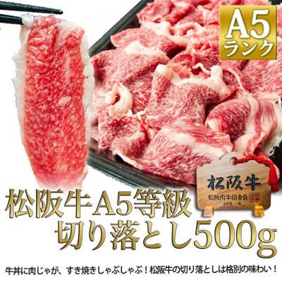 ふるさと納税 津市 松阪牛 A5 切り落とし (500g)