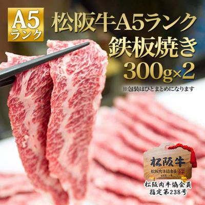 ふるさと納税 津市 松阪牛 A5 鉄板焼き(300g×2)