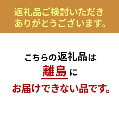 ふるさと納税 大河原町 掛け布団 シングル KKF-WB15-SN ホワイト 掛布団 洗える 洗濯可能[53751961] |  | 01
