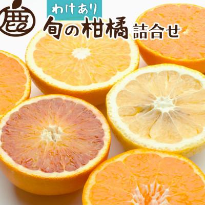 ふるさと納税 上富田町 家庭用 柑橘詰合せ5kg+250g(傷み補償分)[訳あり][有田の春みかん・ルーツ詰め合せ]