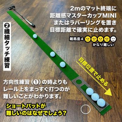ふるさと納税 芸西村 パターマット工房　パット練習レール　TOURNAMENT-SB1枚と練習用小物セット【A124】_2