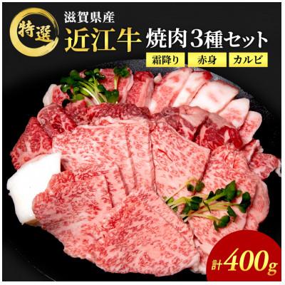 ふるさと納税 豊郷町 近江牛 特選 焼肉 3種盛り 約400g 