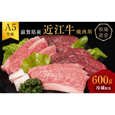 ふるさと納税 豊郷町 近江牛 焼肉 約600g A5
