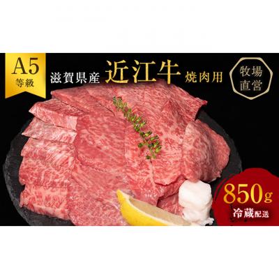ふるさと納税 豊郷町 [近江牛 西川畜産]A5ランク雌牛 焼肉用 約850g