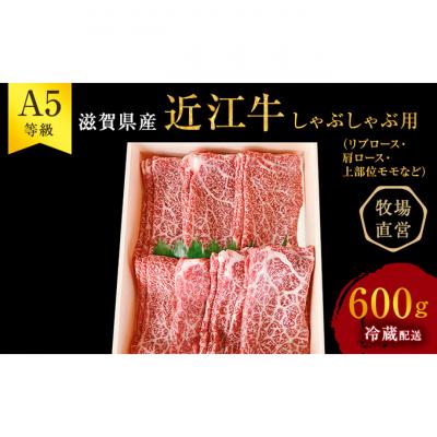 ふるさと納税 豊郷町 [近江牛 西川畜産]A5ランク雌牛 しゃぶしゃぶ用 約600g