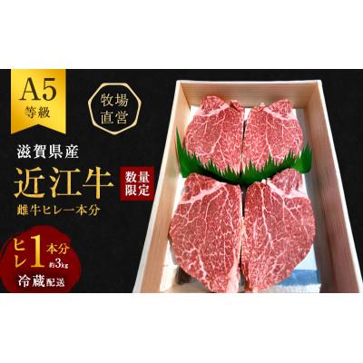 ふるさと納税 豊郷町 [近江牛 西川畜産]A5ランク雌牛 ヒレ1本分 約3kg