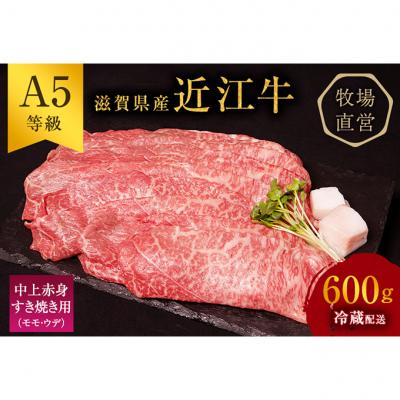 ふるさと納税 豊郷町 近江牛 すき焼き 中上赤身 約600g A5