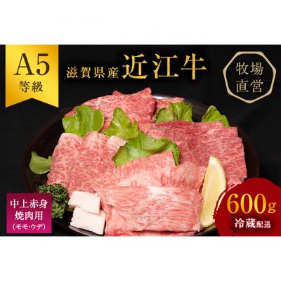 ふるさと納税 豊郷町 近江牛 焼肉 中上赤身焼肉用 約600g A5 