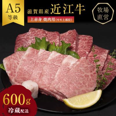 ふるさと納税 豊郷町 [近江牛 西川畜産]A5ランク雌牛上赤身焼肉用約600g