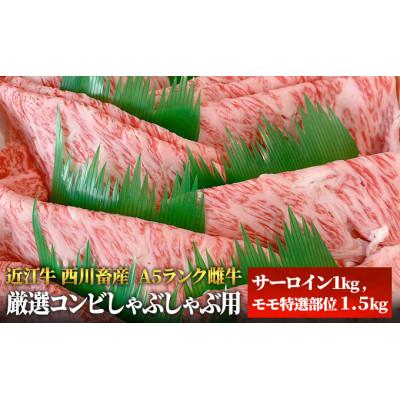 ふるさと納税 豊郷町 [近江牛 西川畜産]A5ランク雌牛 厳選コンビしゃぶしゃぶ用