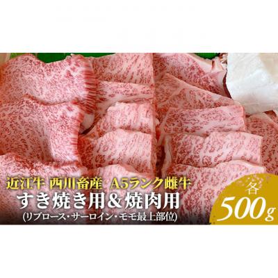 ふるさと納税 豊郷町 [近江牛 西川畜産]A5ランク雌牛 すき焼き用&amp;焼肉用 各500g