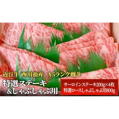 ふるさと納税 豊郷町 [近江牛 西川畜産]A5ランク雌牛 特選ステーキ&amp;しゃぶしゃぶ用 各800g