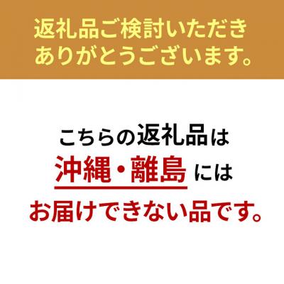 ふるさと納税 豊郷町 【期間限定!生活応援】キルトマットレス SD(セミダブル)ウレタン驚異の硬さ![53820345]_1