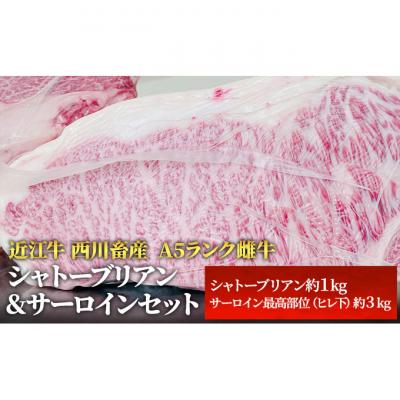 ふるさと納税 豊郷町 近江牛 ステーキ シャトーブリアン サーロイン セット 